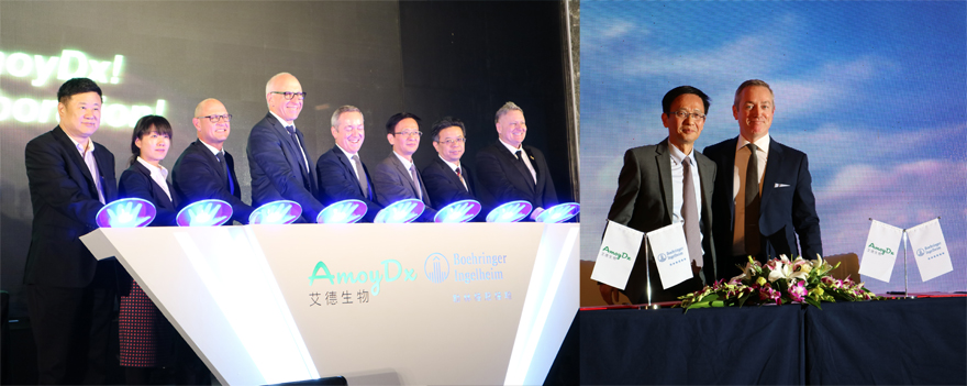 20170828342662.jpg 5875c482c6a19.jpg